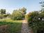 Immagine 13