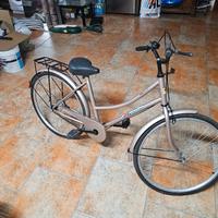 Bici da passeggio 