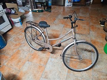 Bici da passeggio 