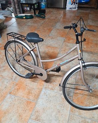 Bici da passeggio 