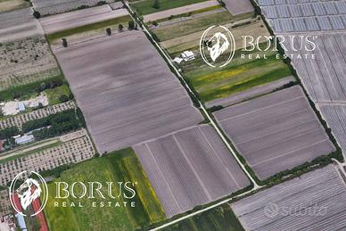 Terreno Agricolo - San Tammaro