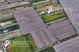 Terreno Agricolo - San Tammaro