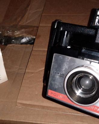 Polaroid