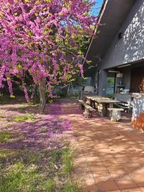 Villetta al fresco