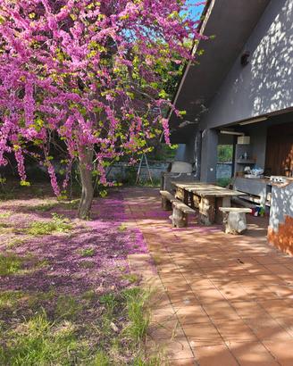 Villetta al fresco