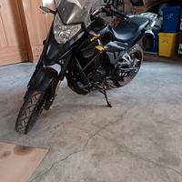 Motron X-Nord 125 - 2022