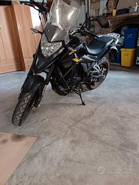 Motron X-Nord 125 - 2022