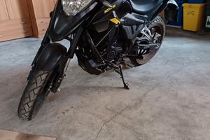 Motron X-Nord 125 - 2022