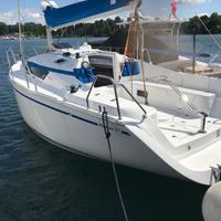 Natante Dalpol Phobos 27 Miglia 0