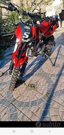 Splendida pit bike guazzoni 