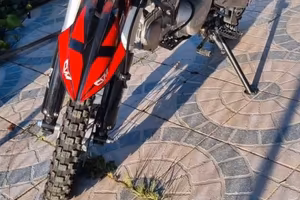 Splendida pit bike guazzoni 