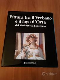 PITTURA TRA IL VERBANO E  IL LAGO D'ORTA