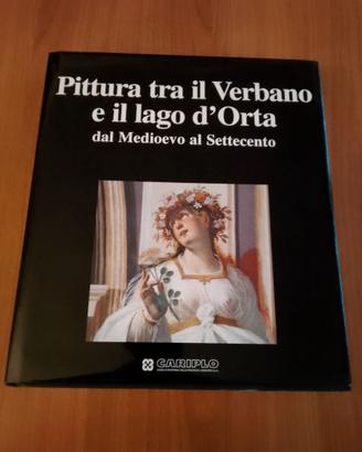 PITTURA TRA IL VERBANO E  IL LAGO D'ORTA