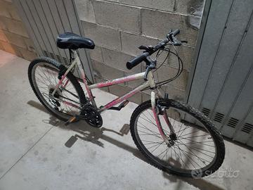 coppia Mountain Bike cambio shimano ben tenute