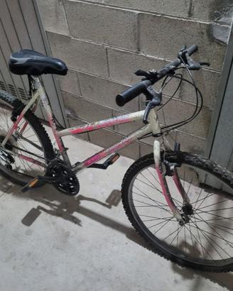 coppia Mountain Bike cambio shimano ben tenute