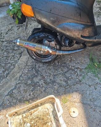 marmitta gianneli reverse piaggio