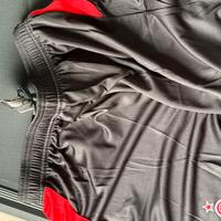 Msglia Milan versione player