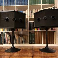 Bose 901 - diffusori HI-FI (prezzo trattabile)