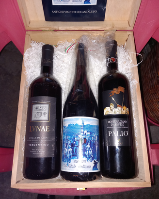 Bottiglie di vino