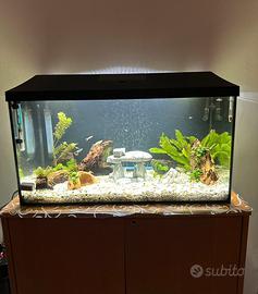 Acquario 100litri