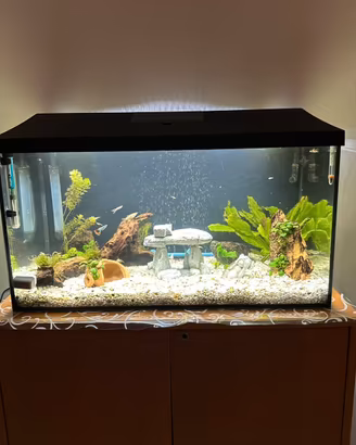 Acquario 100litri