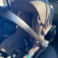 Seggiolino turtle by Nuna