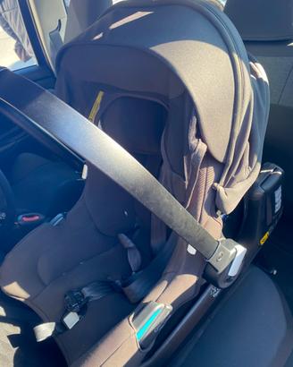 Seggiolino turtle by Nuna