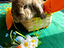 Immagine 1