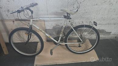 Bicicletta Bottecchia
