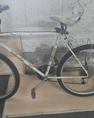Bicicletta Bottecchia