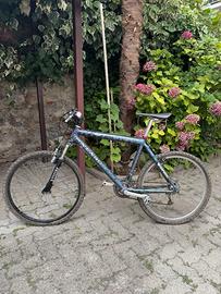 Mountain bike Hazard