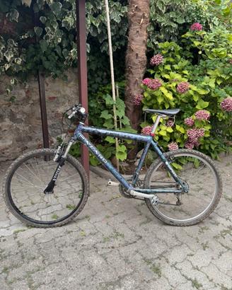 Mountain bike Hazard