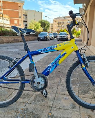 mountine bike 20