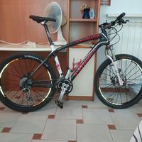 mtb Specialized in carbonio 