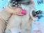 Immagine 6