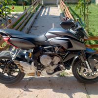 MV Agusta Rivale 800
