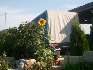 Telo per camper