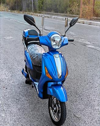 Bicicletta Elettrica