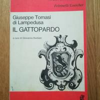 IL GATTOPARDO, Tomasi di Lampedusa, Narrativa scuo