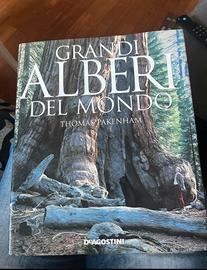 Libro fotografico: Grandi alberi del mondo