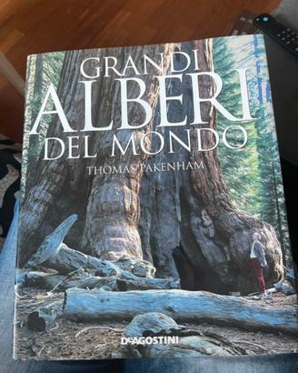 Libro fotografico: Grandi alberi del mondo