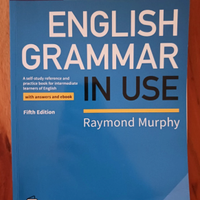 English Grammar In Use