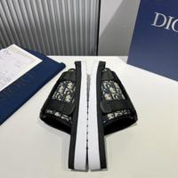 Dior Alpha Oblique slides