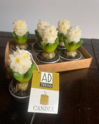 AD TREND CANDLE