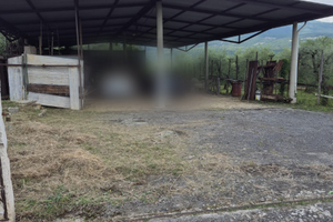 Fabbricato accatastato + Uliveto