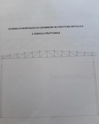 struttura in ferro