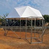 Voliera geodetica, cupola geodetica, pollaio