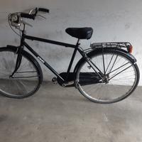 bicicletta da uomo con bagaglino