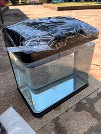 Acquario