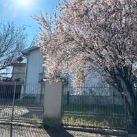 Villa anni 60 della mia nonna, Parma